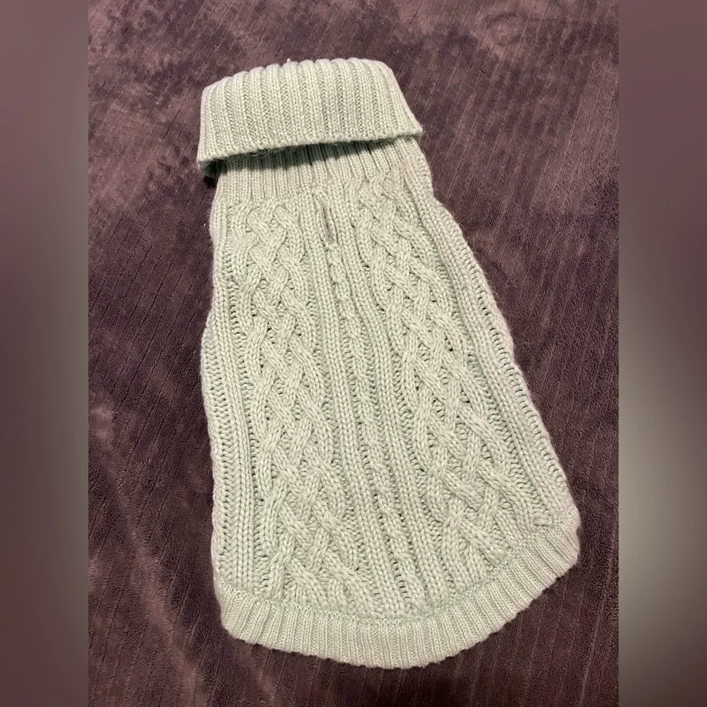 Cozy Mint Green Dog Sweater